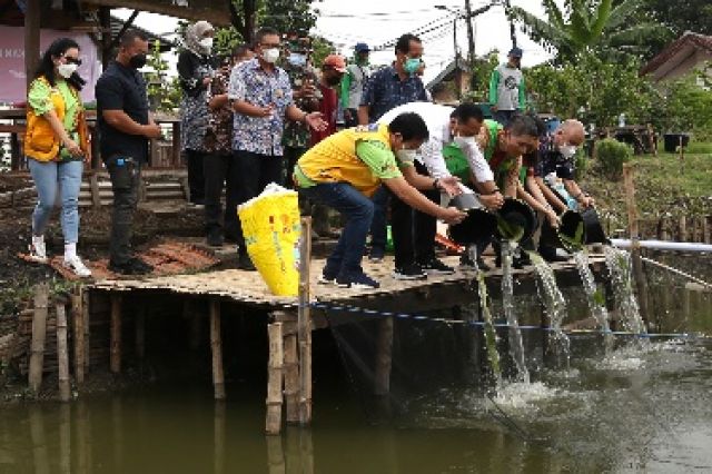 Manfaatkan Bozem, Pemkot Surabaya Tebar 7000 Benih Ikan Nila