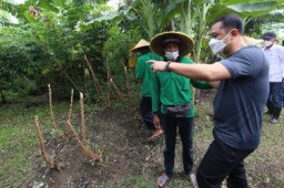 Walikota Surabaya Manfaatkan Lahan Tidur