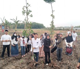 BKN DPC PDI Perjuangan Kota Surabaya Tanam Pohon Bersama Masyarakat