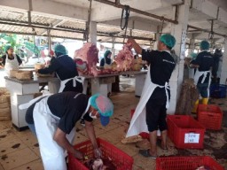 RPH Surabaya siapkan 5 ton daging kulineran Nataru disertai diskon