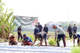 Kendalikan Inflasi, Pemkot Surabaya Tanam 1 Juta Bibit Cabai