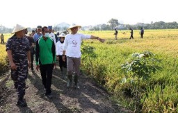 Strategi Pemkot Surabaya Dongkrak Produktivitas Pertanian di Dalam Kota