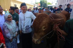 Wali Kota Eri Serahkan Puluhan Hewan Kurban ke RPH Surabaya untuk Warga