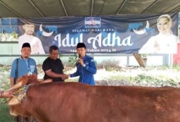 DPC Demokrat Kota Surabaya Berbagi Daging Kurban