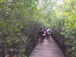 Pengunjung Kebun Raya Mangrove Surabaya Tembus 43 Ribu Orang