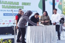 Pemkot Surabaya dan NGO Jalin Sinergi untuk Pelestarian dan Konservasi Mangrove