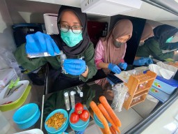 Uji Keamanan Pangan di Pasar Karah, DKPP Surabaya Pastikan Bahan Pangan Bebas Cemaran Kimia