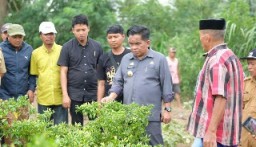 Cabai Petani Desa Lentu Terserang Virus Trips, Pj Bupati Perintahkan BPTH Sulsel Segera Bertindak