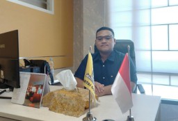 Aldy Blaviandy Anggota DPRD Kota Surabaya, Ini profilnya