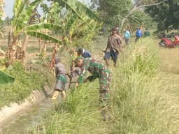 Bersihkan Saluran Irigasi, Babinsa Koramil 04/Burneh Atasi Keluhan Petani