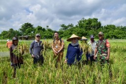 TPID Kota Surabaya Tangkal Inflasi dengan Gerakan Tanam Cepat