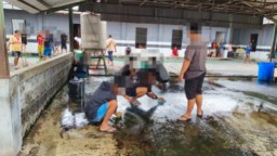 Patroli Asuhan Rembulan, Pemkot Surabaya Amankan 38 Orang saat Pesta Miras