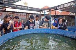 Zulhas Menko Pangan Apresiasi Urban Farming di Surabaya