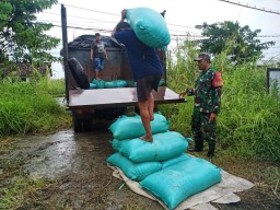Babinsa Koramil 0817/10 Benjeng Dampingi Bulog Serap Gabah Petani di Desa Belang Kulon