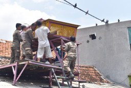 Satpol PP Surabaya Bongkar Tujuh Bekupon di Gubeng Masjid