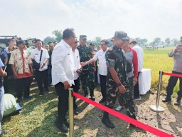 Danrem 084/Bhaskara Jaya Menghadiri Panen Raya Padi Serentak di 14 Provinsi Bersama Presiden RI Prabowo Subianto Virtual