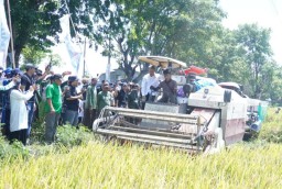 Panen Raya Padi Serentak di 14 Provinsi, Jeneponto Ambil Bagian di Desa Kayu Loe Timur