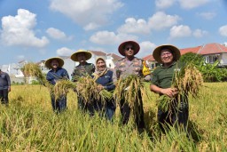 Tingkatkan Produksi Padi, Pemkot Bantu Pembibitan hingga Irigasi untuk Poktan di Surabaya