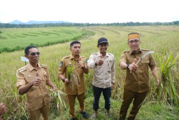 Bupati dan Wakil Bupati Jeneponto hadiri Panen Raya Padi dan Panen Ikan Air Tawar di Desa Bontotiro Rumbia