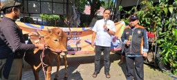 PKS Kota Surabaya Bahagiakan Arek-Arek Suroboyo Bagikan Belasan Ribu Paket Kurban