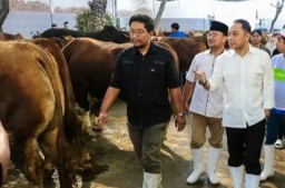 RPH Surabaya Teroma Jasa Potong dan Jual Hewan Kurban