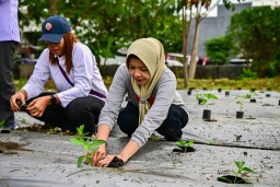 Aksi Tanam Serentak Pemkot Surabaya, Jaga Ketersediaan Pangan Jelang Nataru