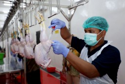 Pemkot Surabaya Hadirkan RPHU Berstandar NKV dan Bersertifikasi Halal di Lakarsantri