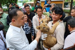 Umumkan Hasil Seleksi Dirut KBS, Pemkot Surabaya Cari Pemimpin yang Perkuat Konservasi dan Edukasi