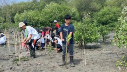 SMPN 1 Surabaya Tanam 18.200 Mangrove
