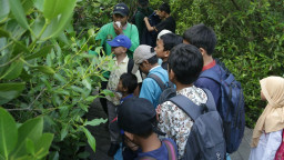 Pemkot Surabaya Utamakan Konservasi dan Edukasi, Kebun Raya Mangrove Bukan Soal PAD Semata