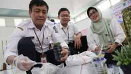 Pemkot Sirabaya Ekologo Mangtove Warior dan Taman Sansiviera SMPN 1