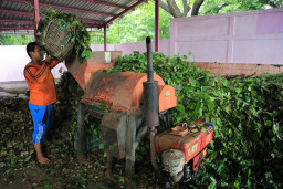 Rumah Kompos Cegah Timbulan Sampah, DLJ Surabaya Hemat Rp63,7 Miliar per Tahun
