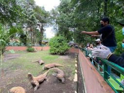 PDTS Kebun Binatang Surabaya Catat Lonjalan Pengunjung