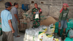 Babinsa Cerme Tinjau Stok Gabah dan Beras di Penggilingan Desa Kandangan