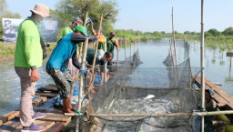 BRIDA Surabaya Dorong Metode Silvofishery untuk Perkuat Ekosistem Pesisir