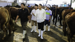 SE Idu;l Adha: Hewan Kurban Masuk Surabaya Harus Kantongi SKKH dan Wajib Vaksin PMK