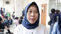 Pemkot Surabaya Sterilisasi 100 Kucing Gratis