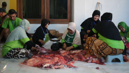 Evaluasi Idul Adha 2026, Keamanan Daging Kurban Terjaga Melalui Pengawasan di 296 Lokasi