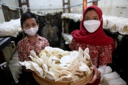 12 Sekolah di Surabaya Jadi Calon Penerima Penghargaan Adiwiyata