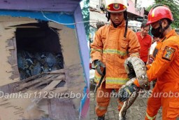 DPKP Surabaya Tak Hanya Tangani Kebakaran