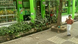 Lembaga Pendidikan Tetap Antusias Menjadi Peserta Calon Sekolah Adiwiyata