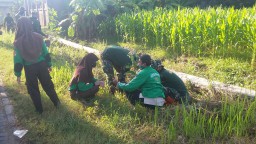 Kodim 0817/Gresik Melaksanakan Program Penghijauan TA 2020