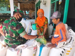Babinsa Tambak Pantau Ketahanan Pangan dimasa Pandemi Melalui Petani Binaan