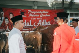 PDIP Surabaya Potong 11 Kurban Sapi