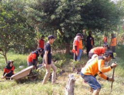 Peran Organisasi Pengelolaan Pengembangan Masyarakat
