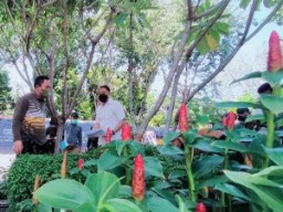 1000 Tanaman Ditanam Setiap Hari, Pemkot Ingin Surabaya Tetap Sejuk