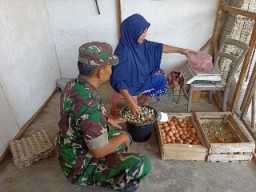 Ini Curhat Peternak Burung Puyuh Masa Pandemi