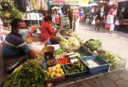 Harga Tomat Capai Rp 24.000 per kilogram