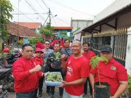 Dorong Swasembada Pangan PDIP Surabaya Tandur Tanaman Konsumsi