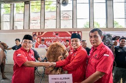 PDIP Surabaya: Idul Adha Momen Perkuat Gerakan ke Akar Rumput